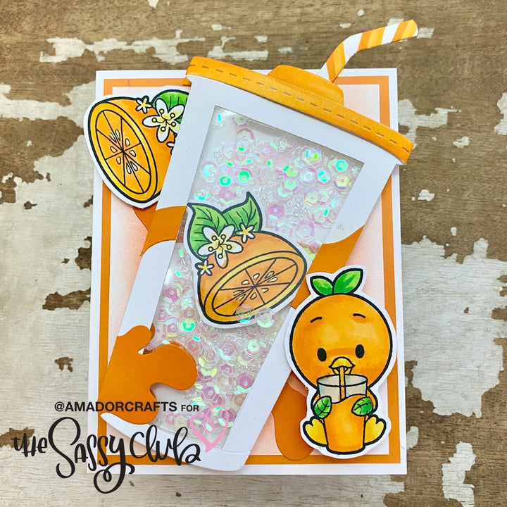 The Sassy Club LLC Planner Stamps Orange (Restock) Clear Stamp for Card Making